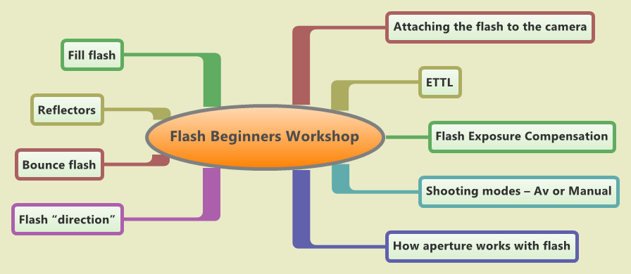 Flash Beginners Workshop