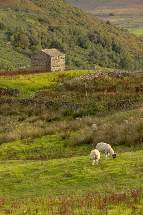 Swaledale Waterfalls & Barns - Saturday, 18 September 2027 - Image 19