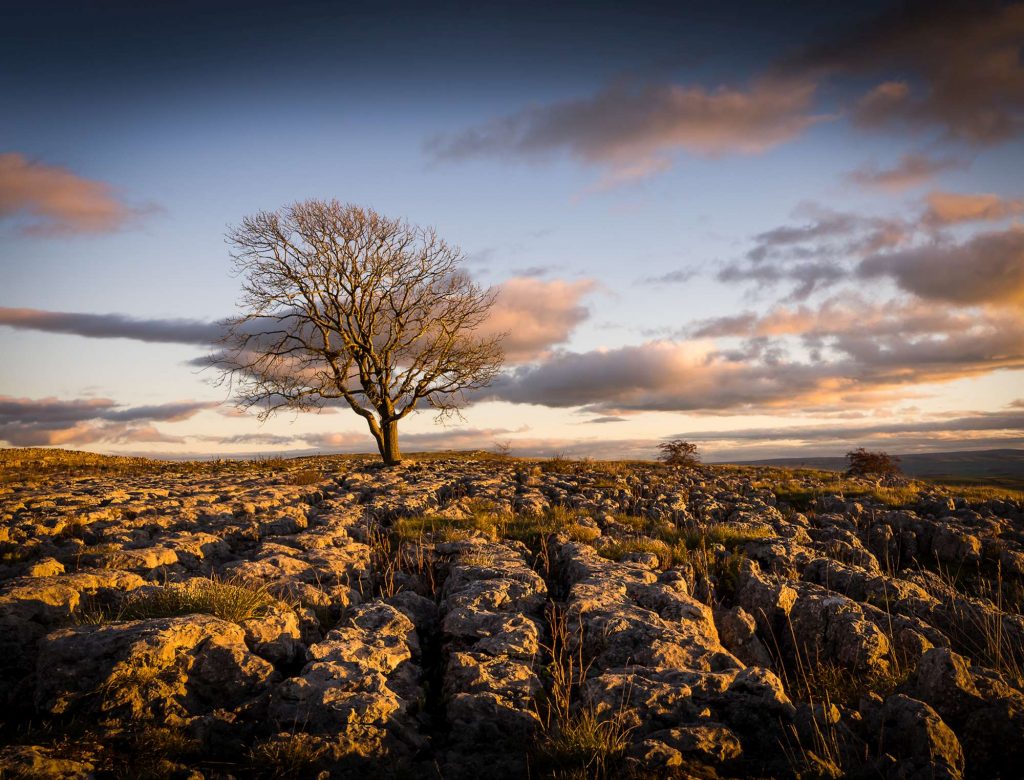 Malham Yorkshire Dales Landscape Photography - Saturday, 5 December 2026 -