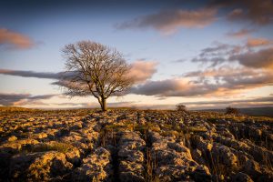 Saturday, 10th January 2026 - Malham Yorkshire Dales Landscape Photography Day